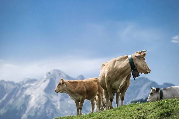 voyage photo pays basque serge strippentoire promo 1