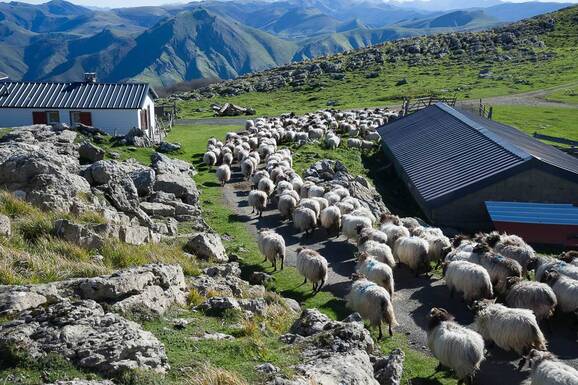 voyage photo pays basque serge strippentoire promo