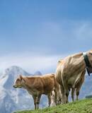 voyage photo pays basque serge strippentoire promo