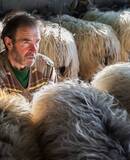 voyage photo pays basque serge strippentoire promo