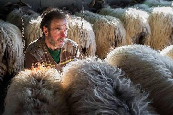 voyage photo pays basque serge strippentoire promo