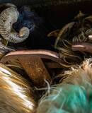 voyage photo pays basque serge strippentoire promo