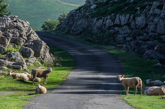 voyage photo pays basque serge strippentoire promo 6