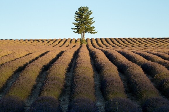 voyage photo provence