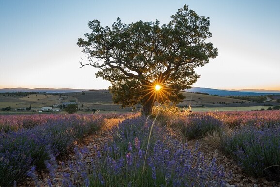 voyage photo provence