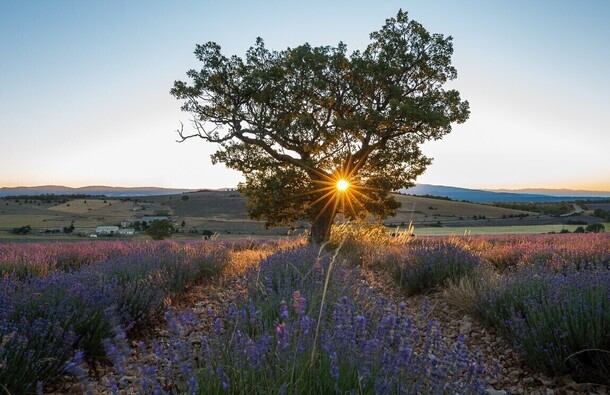 voyage photo provence