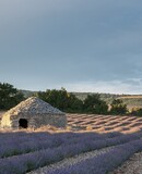 voyage photo provence