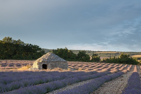 voyage photo provence