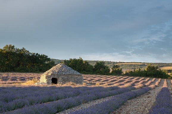 voyage photo provence vincent