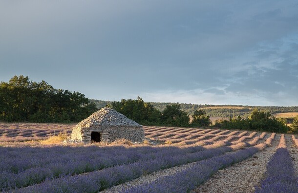 voyage photo provence vincent