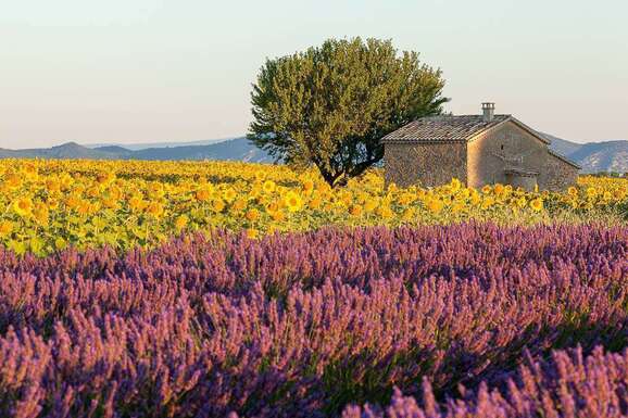 voyage photo provence vincent frances