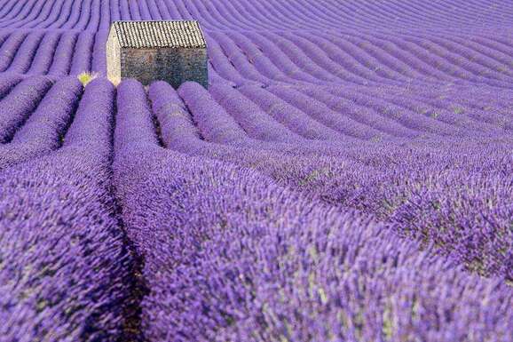 voyage photo provence vincent frances