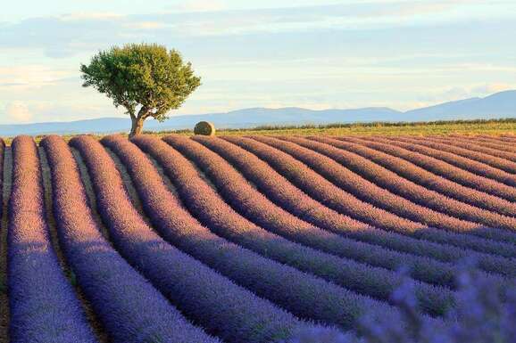 voyage photo provence vincent frances