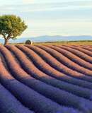 voyage photo provence vincent frances promo