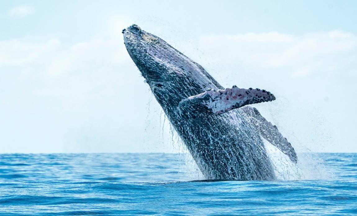 voyage photo quebec stock galerie 24