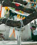 voyage photo sri lanka christophe