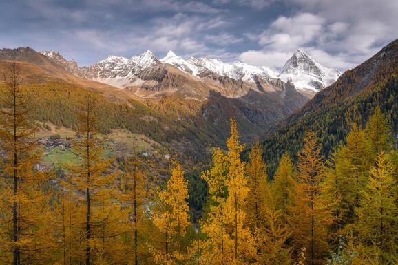 voyage photo suisse tgal promo 5