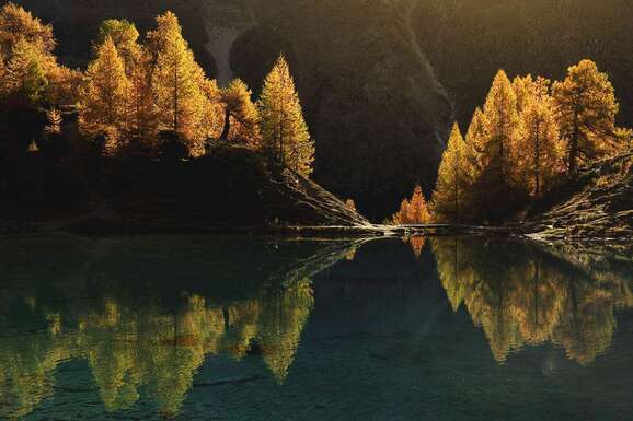 voyage photo suisse thomas