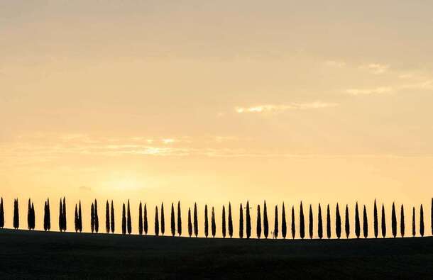 voyage photo toscane