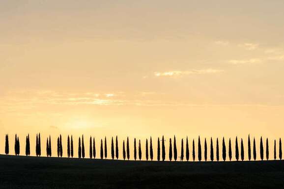 voyage photo toscane automne vincent frances