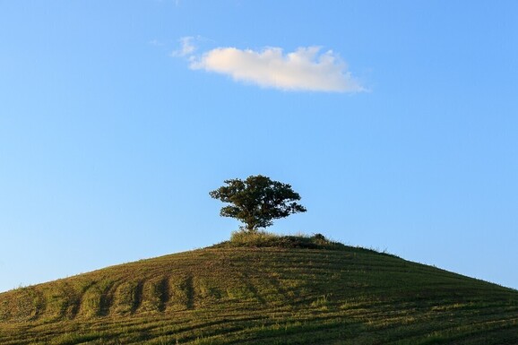 voyage photo toscane ete
