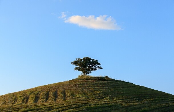 voyage photo toscane ete vincent