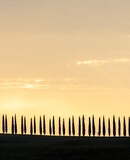 voyage photo toscane reveillon vincent