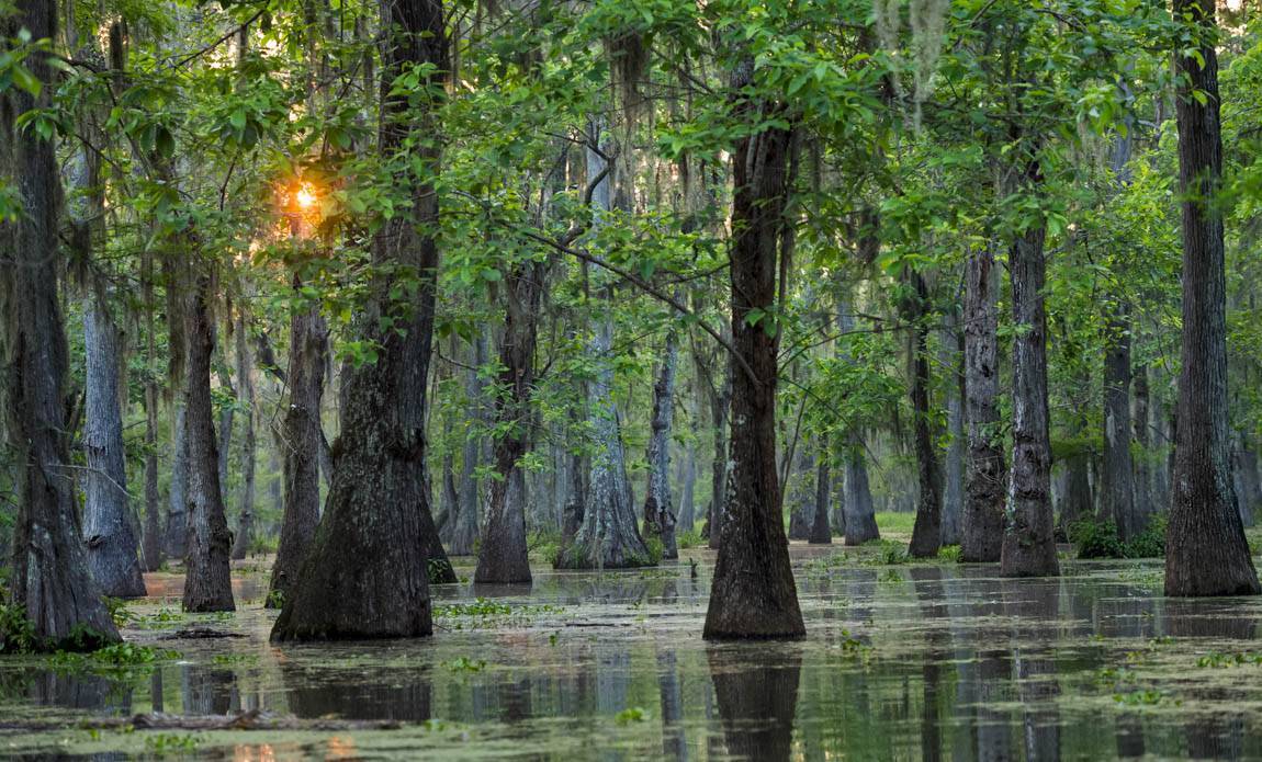 voyage photo us blues patrick frilet galerie 175
