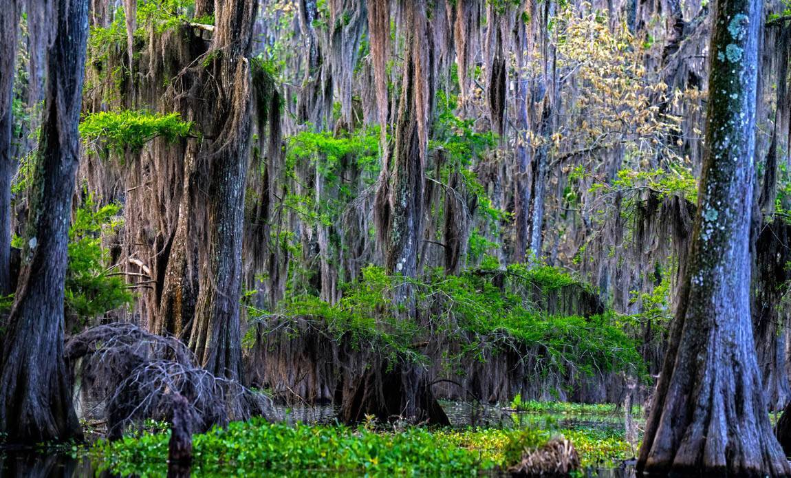 voyage photo us blues patrick frilet galerie 179