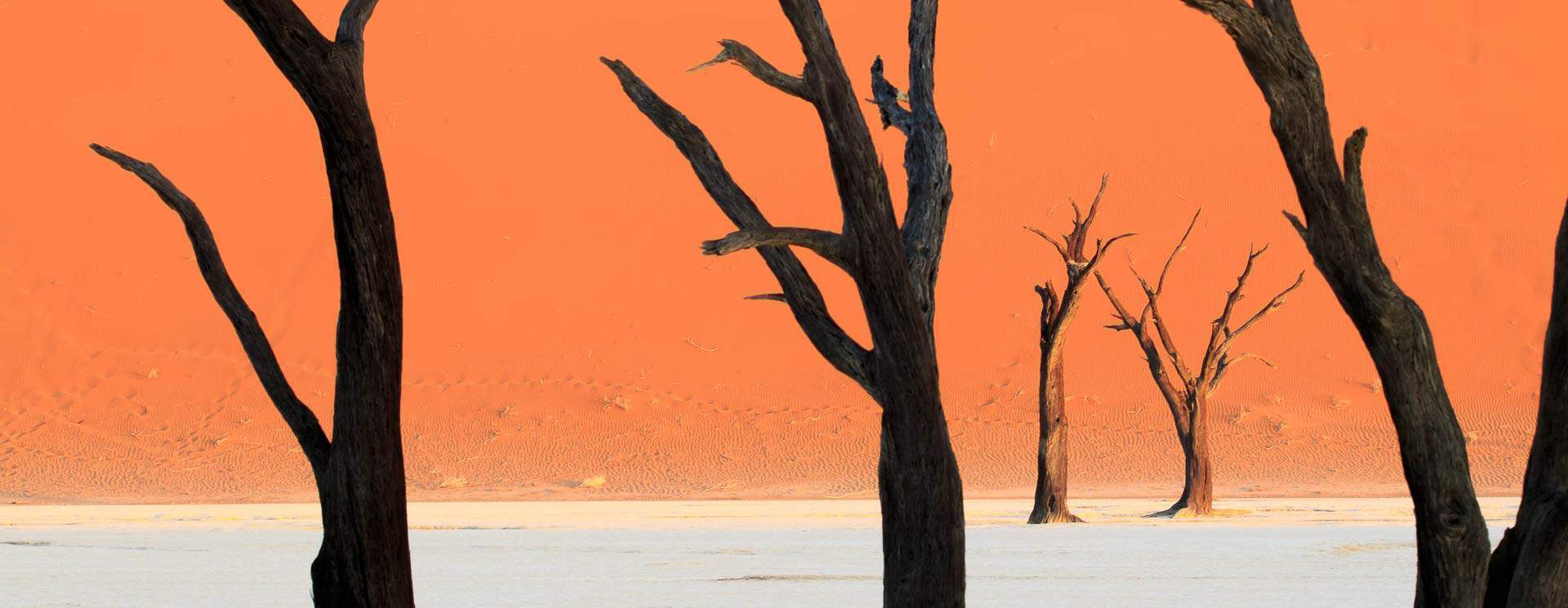 voyage photo namibie