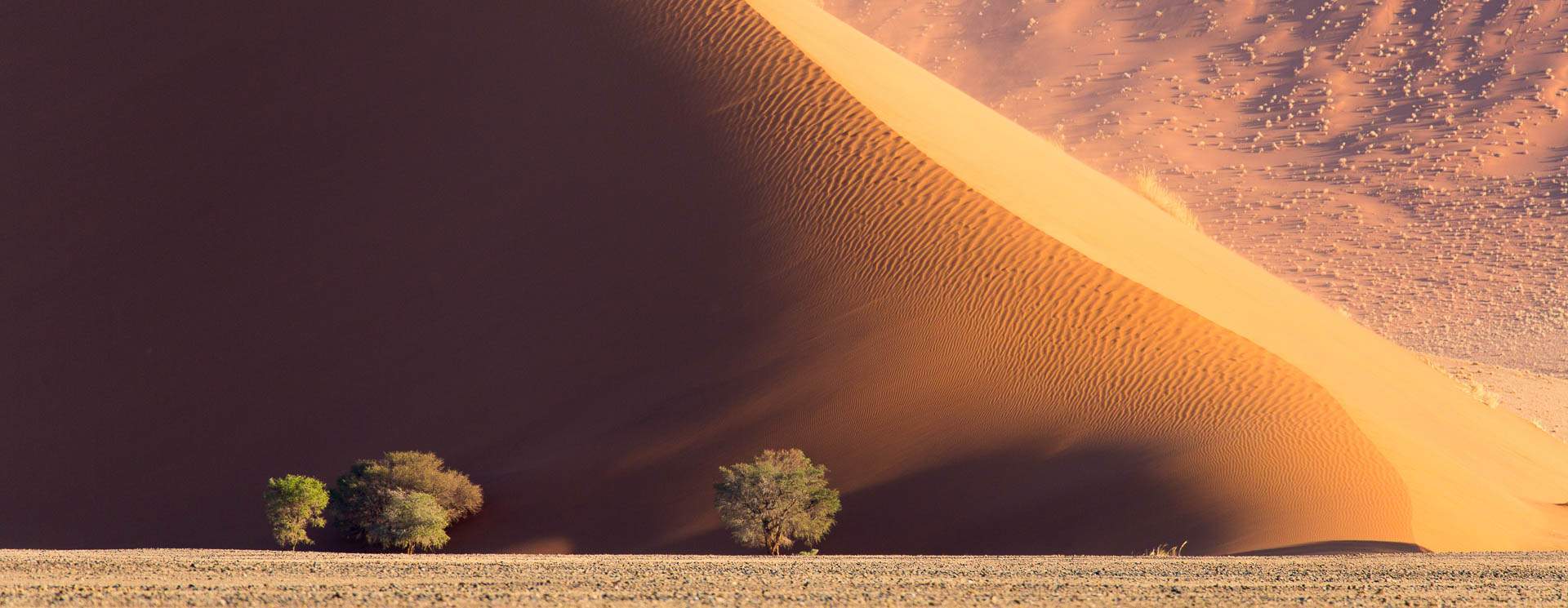 voyage photo namibie header