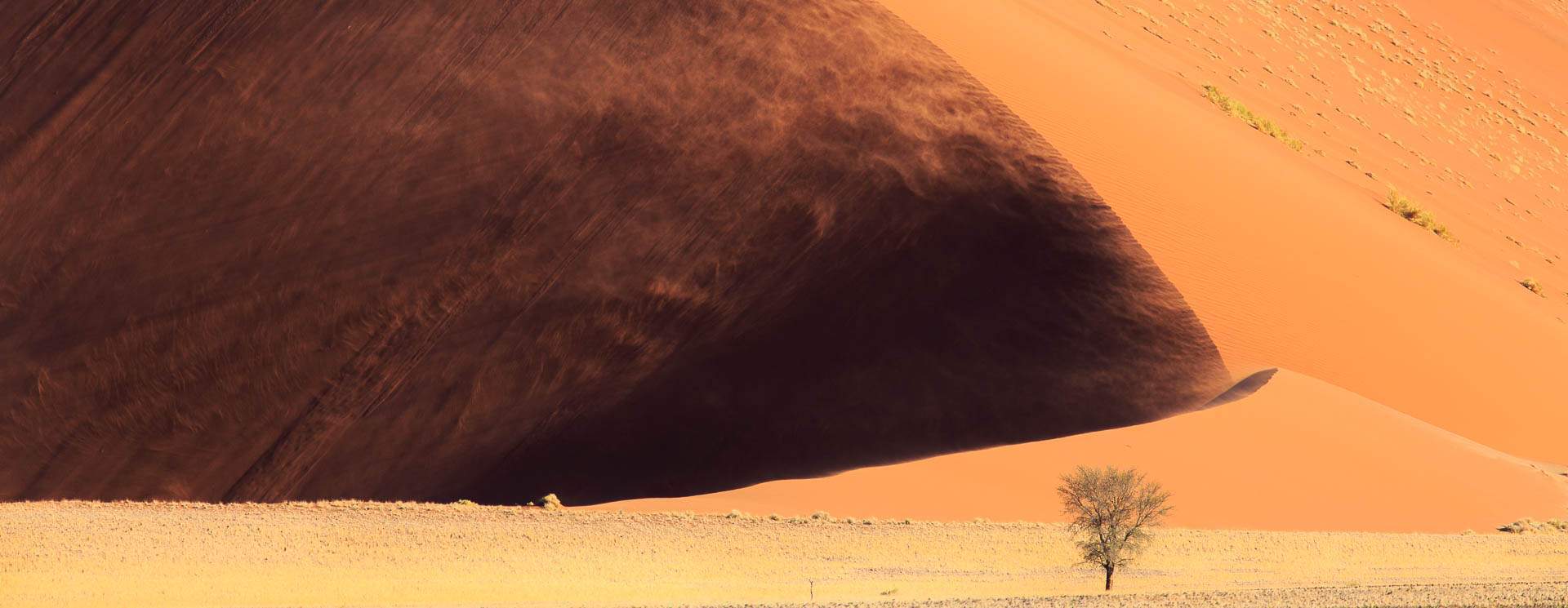 voyage photo namibie