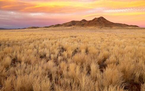 voyage photo namibie sud olga bargan promo 16