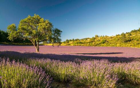 voyage photo thierry segonne general 4