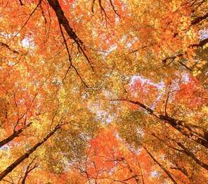 voyage photo automne adobestock 572172614 1