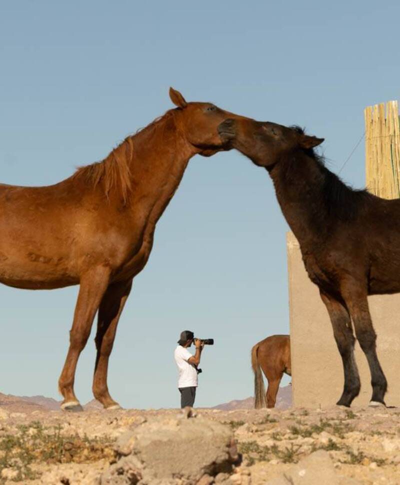 voyage photo namibie sud olga bargan 1