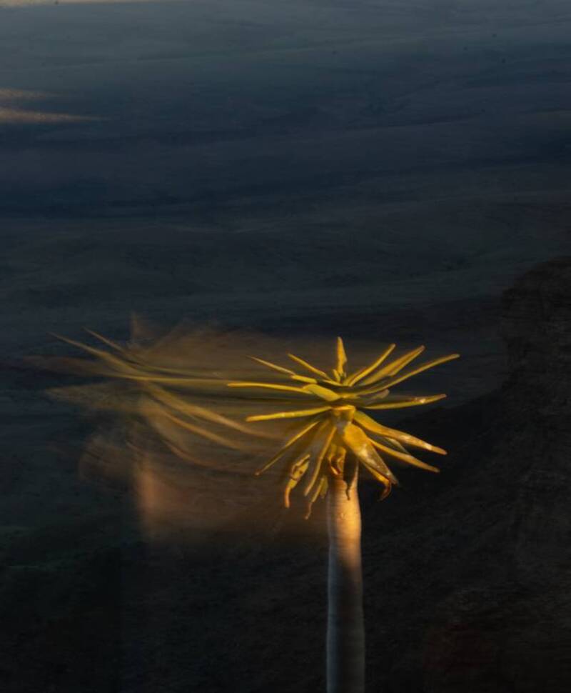 voyage photo namibie sud olga bargan 31