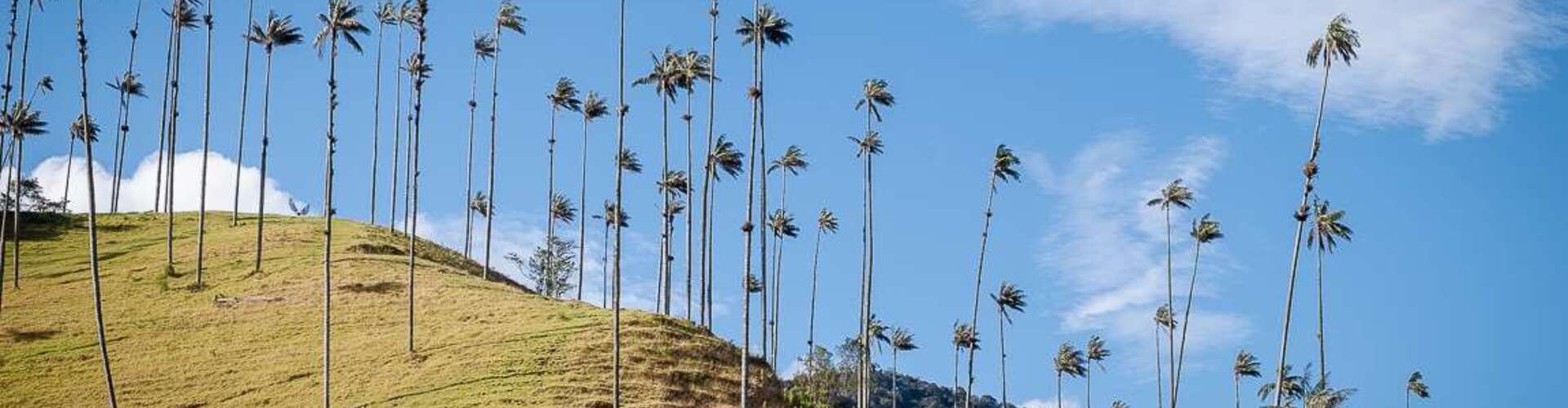 voyage photo colombie marine buffard galerie 7