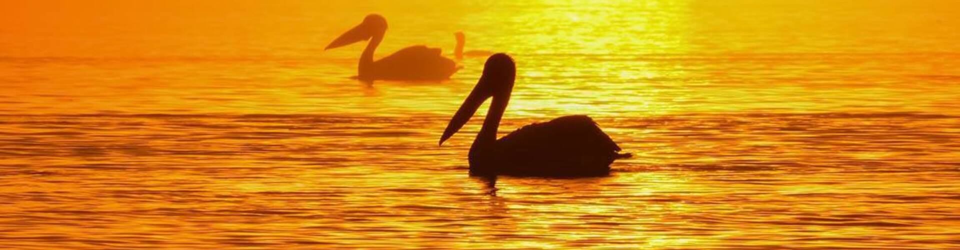 voyage photo grece as 774197115 galerie 1